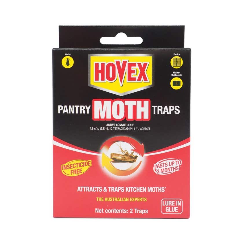 Trap Moth Pantry Hovex
