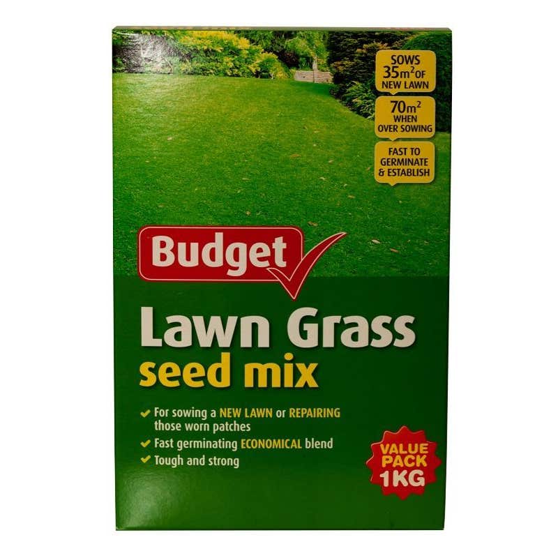 Seed Lawn Budget 1kg