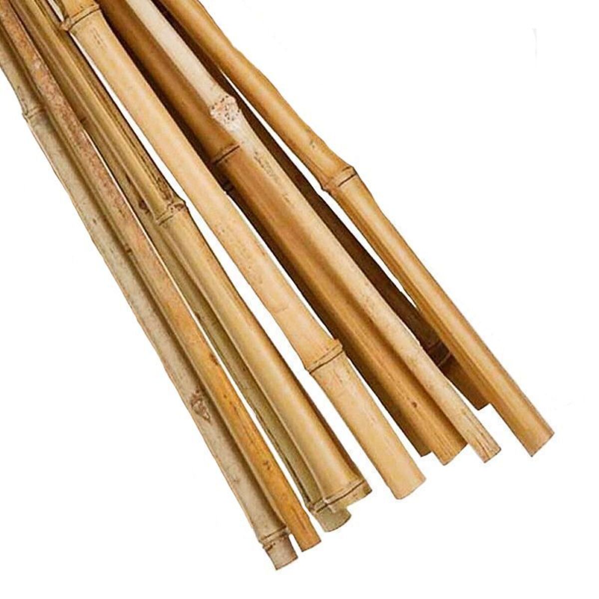 Stake Bamboo Cane 0.9m 20 Pack Brunnings