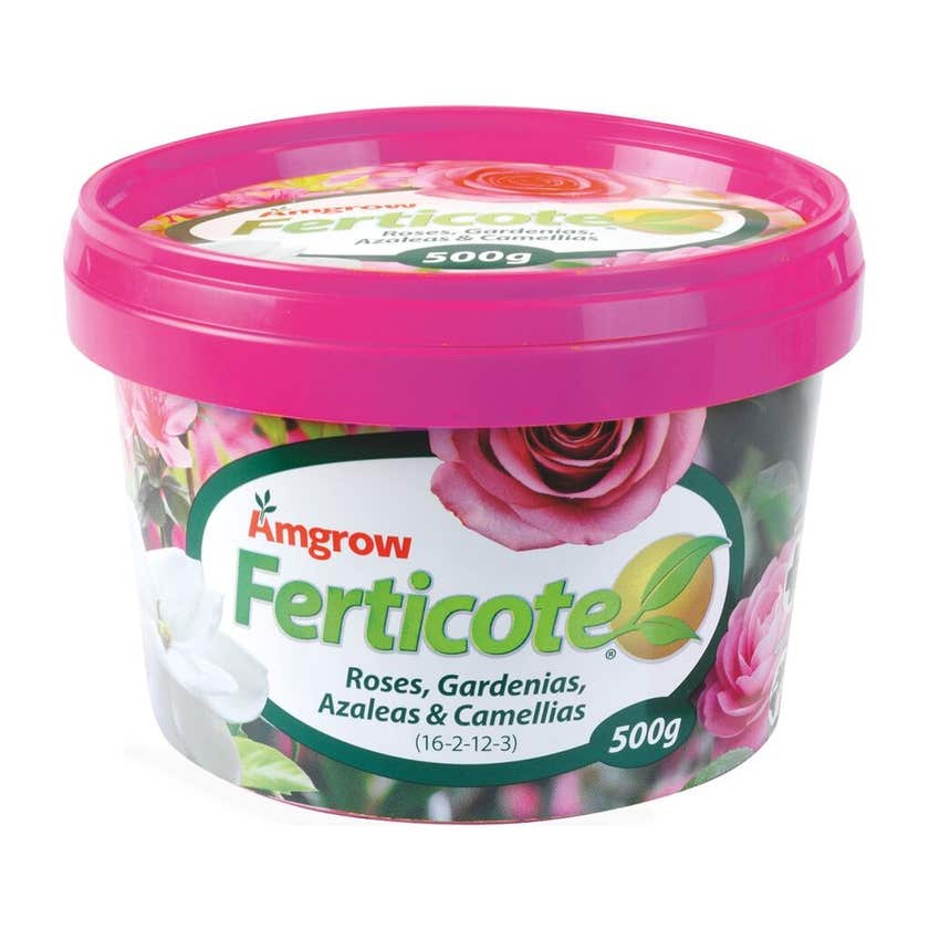 Ferticote Roses Gardenias Azaleas & Camellias 500g
