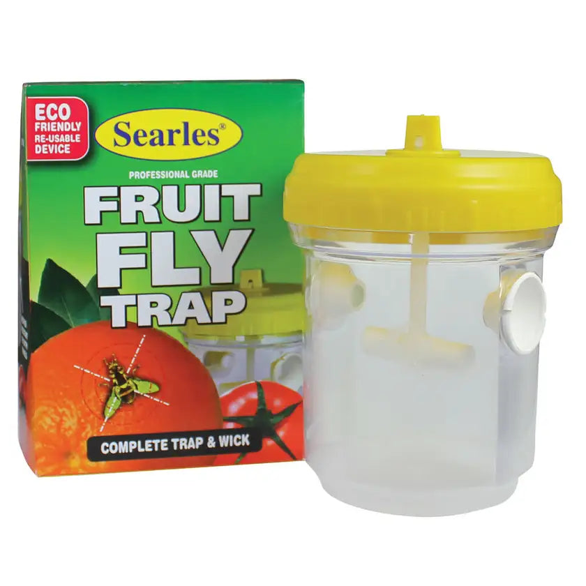 Fruit Fly Trap