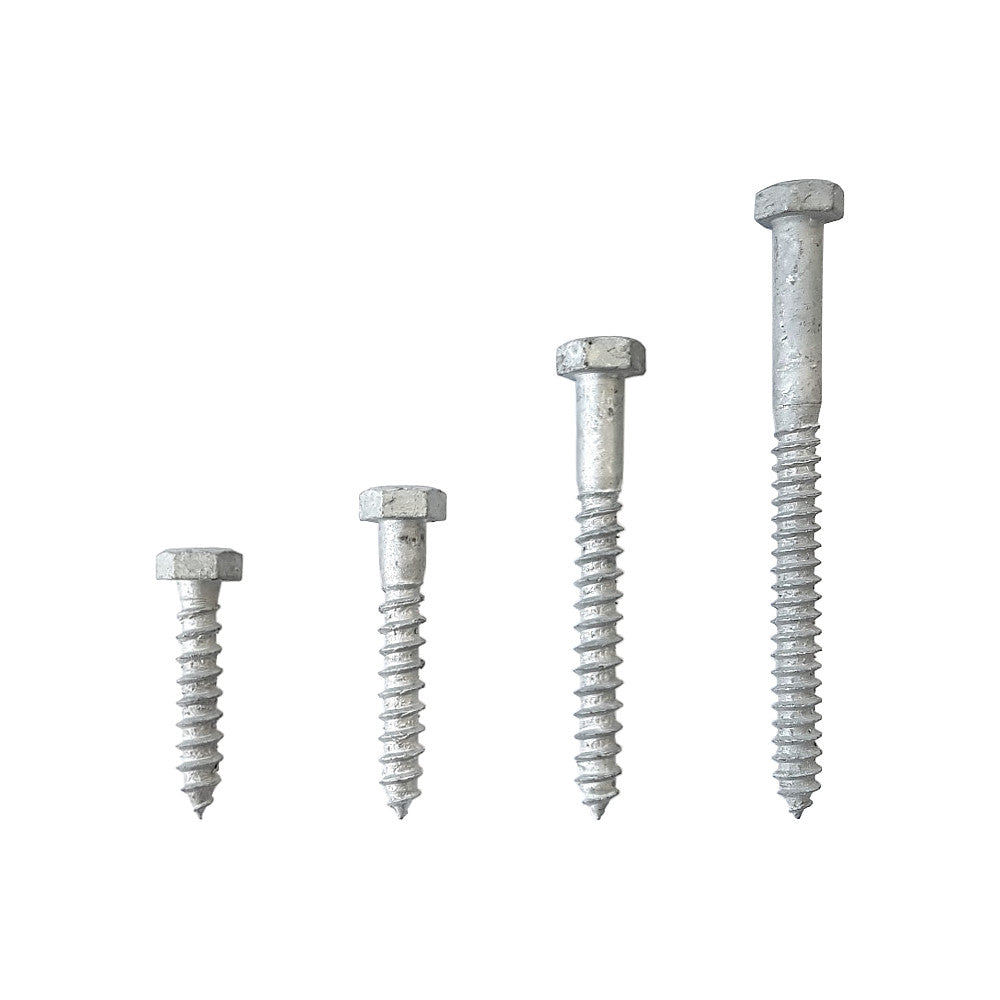 Screw Coach Hdg M8X40