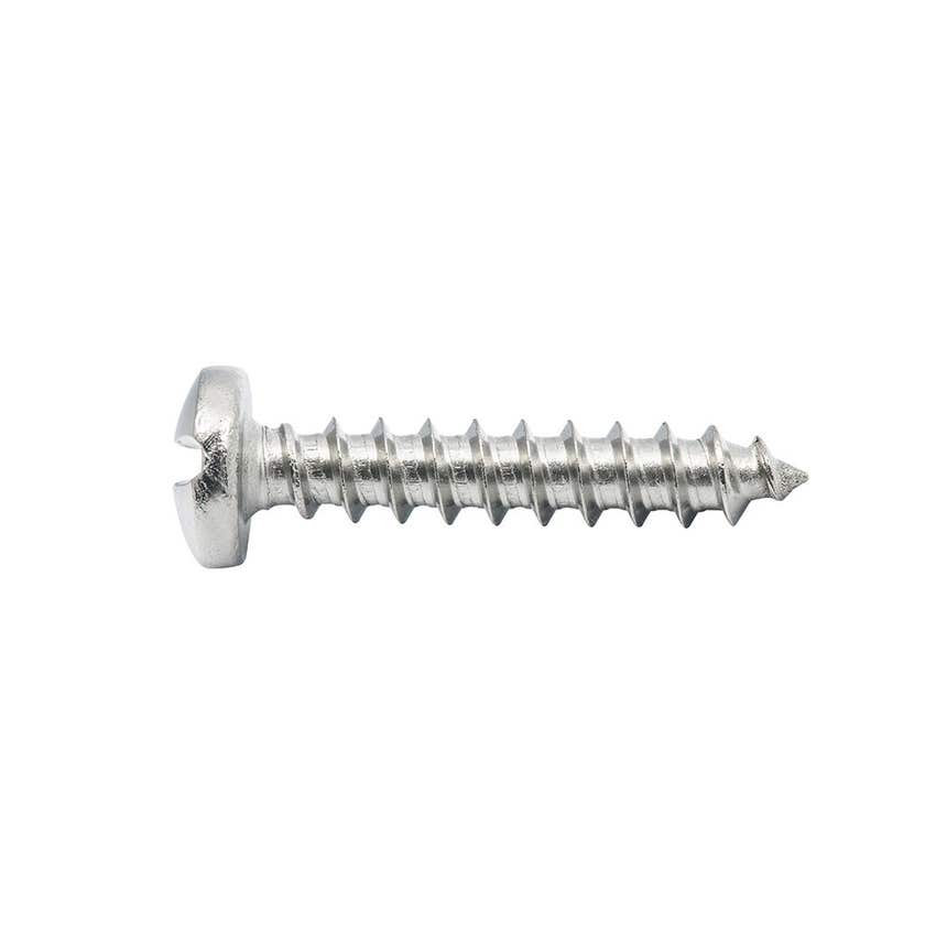 Screw S/T Pan Sphss 10Gx25 Sp8