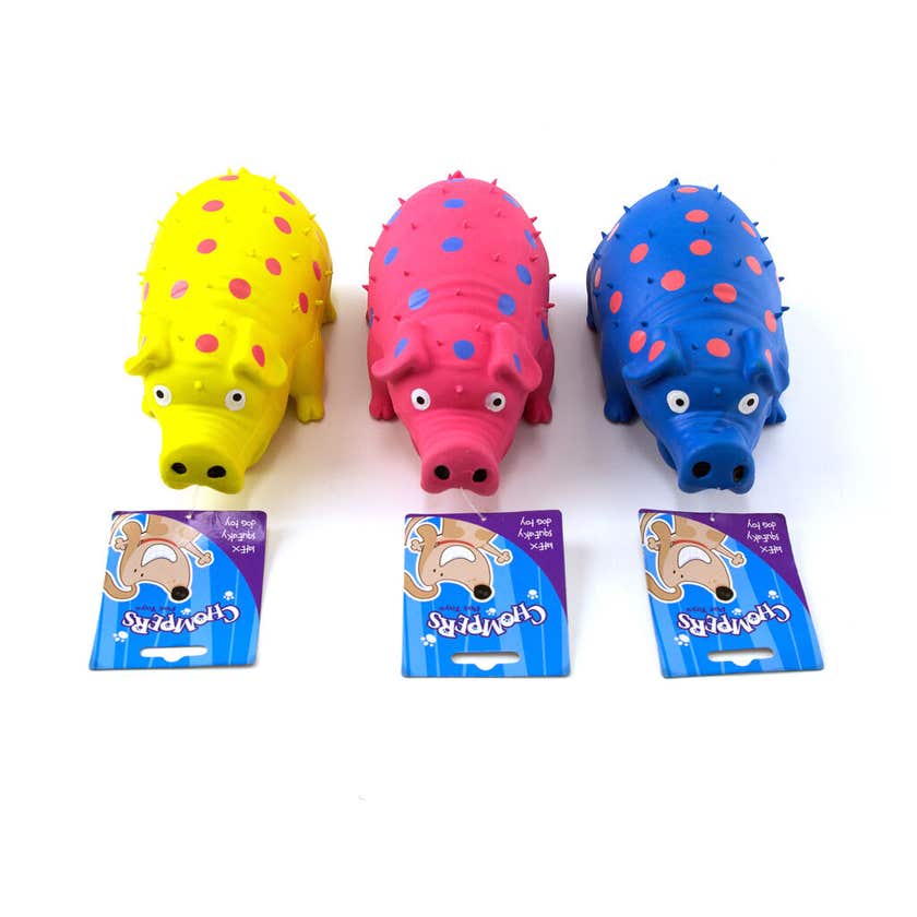 Dog Toy Pig Latex 20cm 3 Assorted Colours