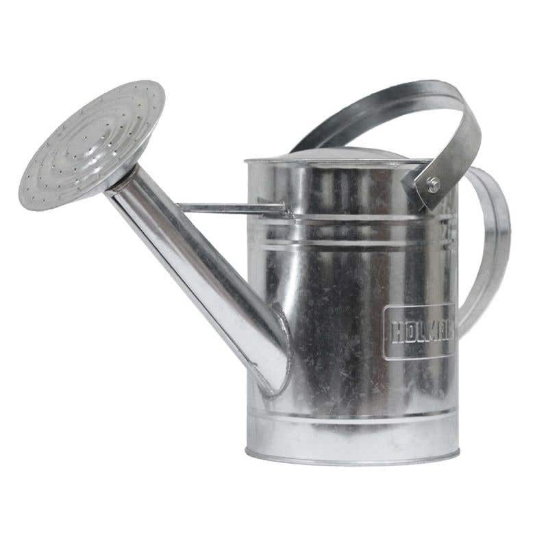 Can Watering 9L Galvanised