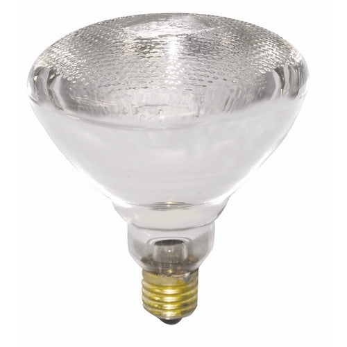 Globe Flood Light Sgl Glass Par38 ES 150w